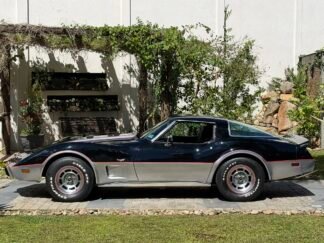 CORVETTE PAVE 1978