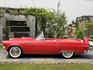 Thunderbird 1956